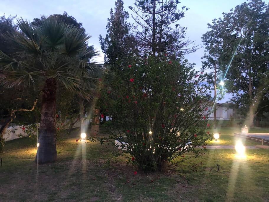 Villa Anastasia! In Strofylia Pine Forest!!! Manolas 외부 사진