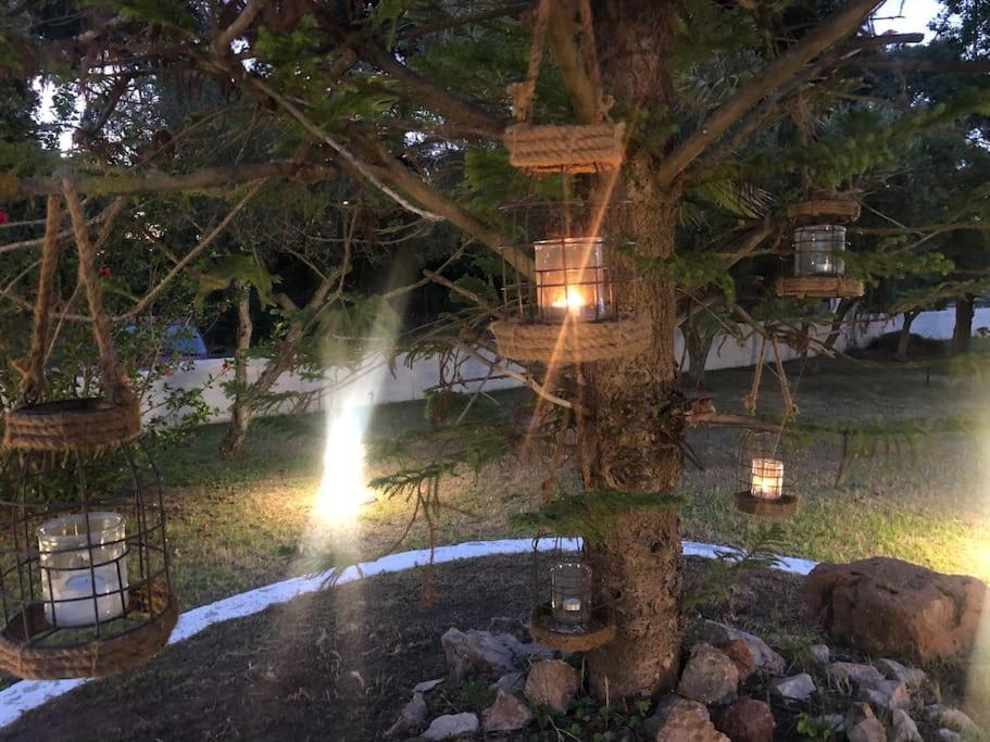 Villa Anastasia! In Strofylia Pine Forest!!! Manolas 외부 사진
