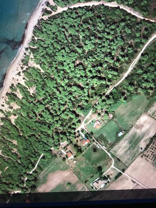 Villa Anastasia! In Strofylia Pine Forest!!! Manolas 외부 사진