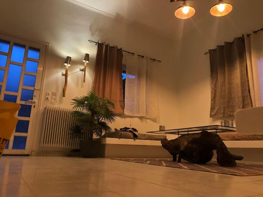 Villa Anastasia! In Strofylia Pine Forest!!! Manolas 외부 사진