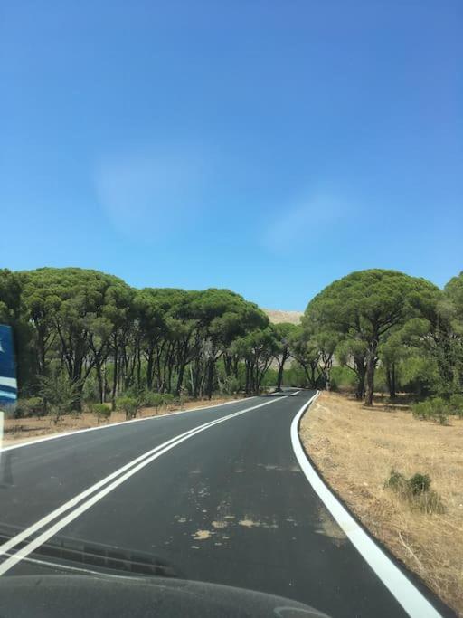 Villa Anastasia! In Strofylia Pine Forest!!! Manolas 외부 사진