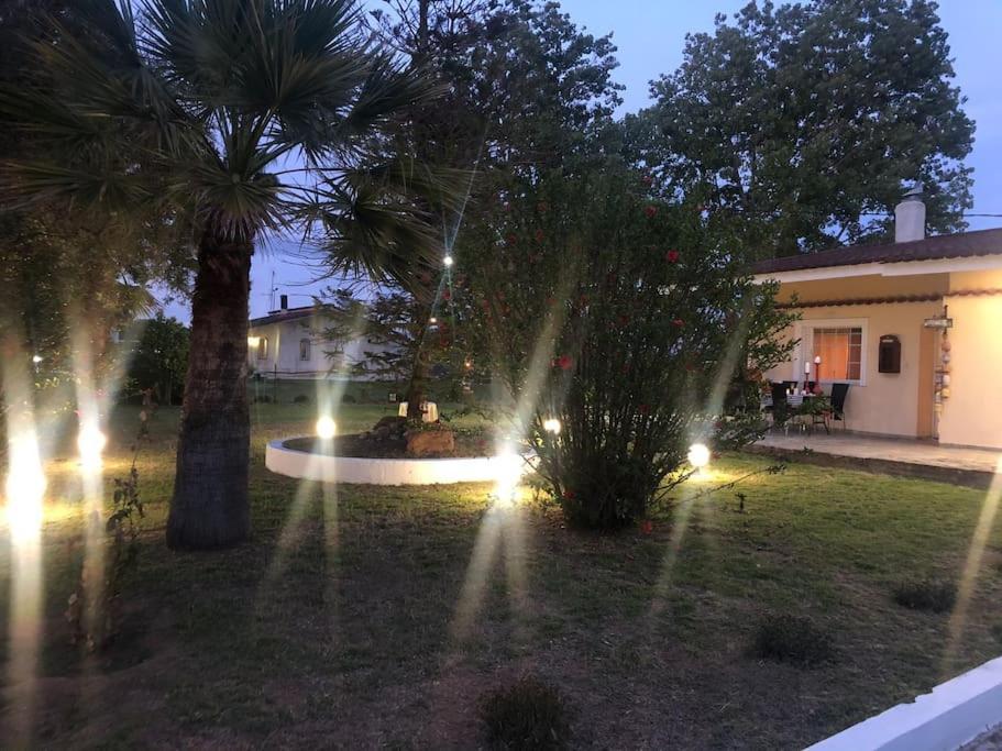 Villa Anastasia! In Strofylia Pine Forest!!! Manolas 외부 사진