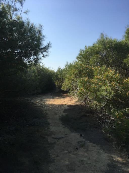 Villa Anastasia! In Strofylia Pine Forest!!! Manolas 외부 사진