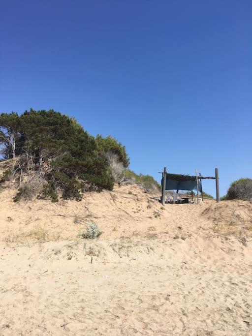 Villa Anastasia! In Strofylia Pine Forest!!! Manolas 외부 사진