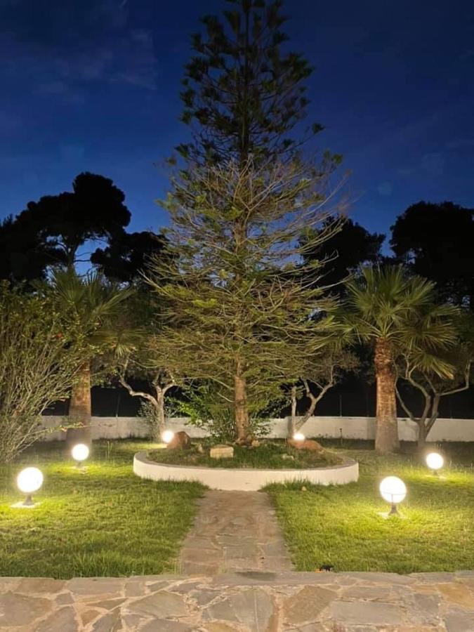 Villa Anastasia! In Strofylia Pine Forest!!! Manolas 외부 사진